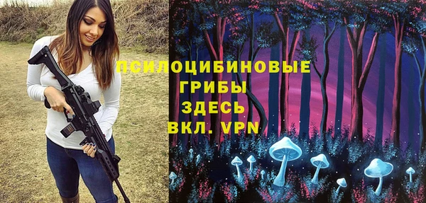 ПСИЛОЦИБИНОВЫЕ ГРИБЫ Покачи