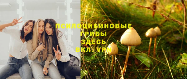 соль ск Абдулино